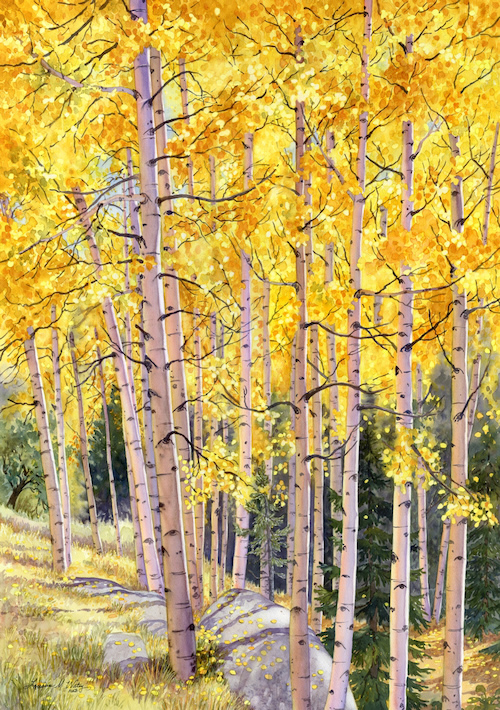 Click to view detail for Trembling Gold / Aspen Grove 28x20 $4000